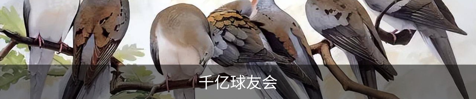 千亿球友会